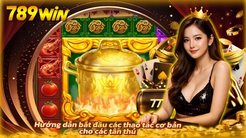 Hướng dẫn từng bước giúp người mới thao tác nhanh chóng và chính xác
