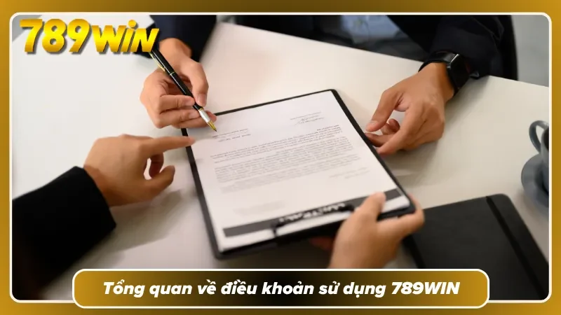 Khái quát về các chính sách quan trọng tại sân chơi