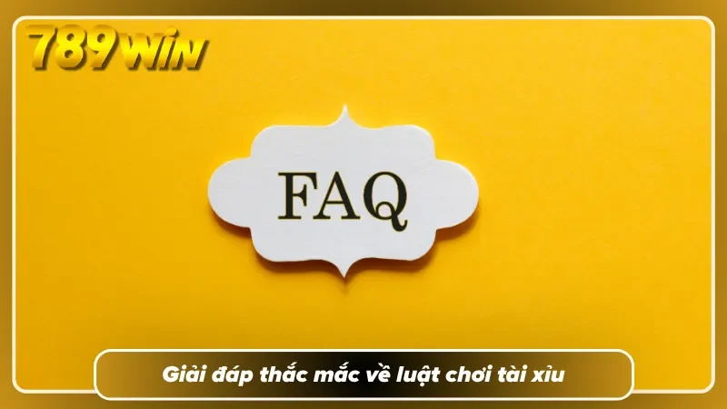 Những câu hỏi nhỏ đôi khi quyết định cả trải nghiệm của người mới 