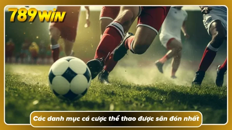 Mỗi bộ môn đều có nhịp biến động mà người mới dễ bỏ qua